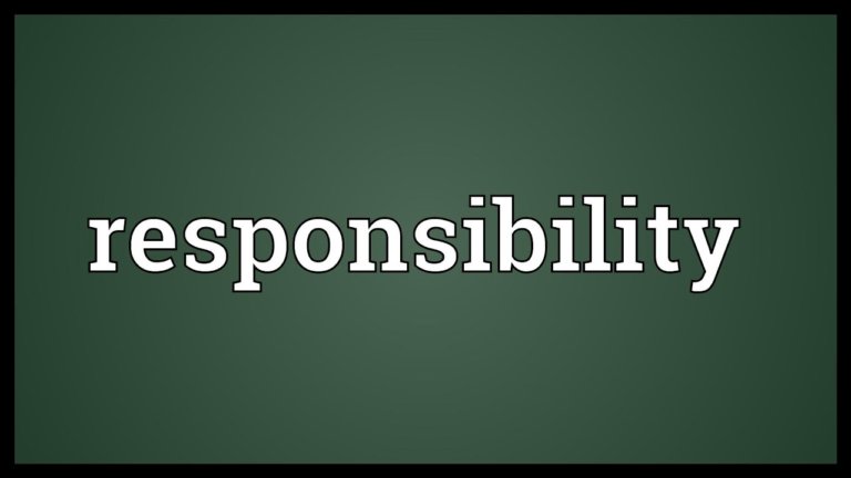 responsability